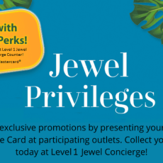 Jewel Privileges Programme