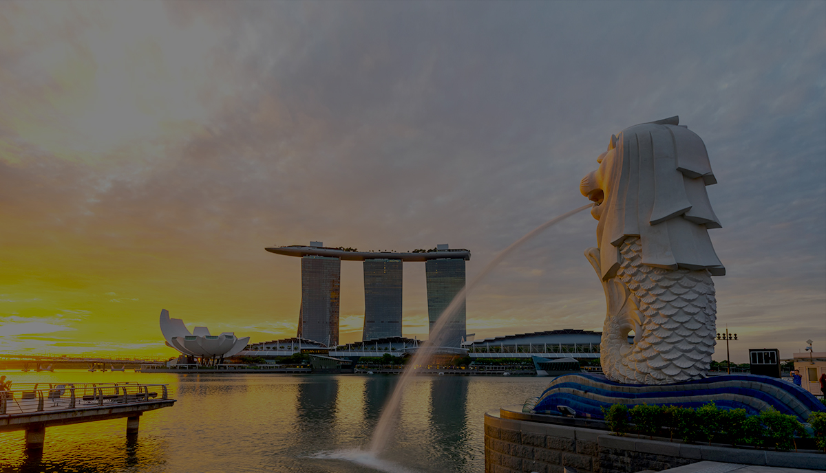 Home Page - The Singapore Tourist Pass