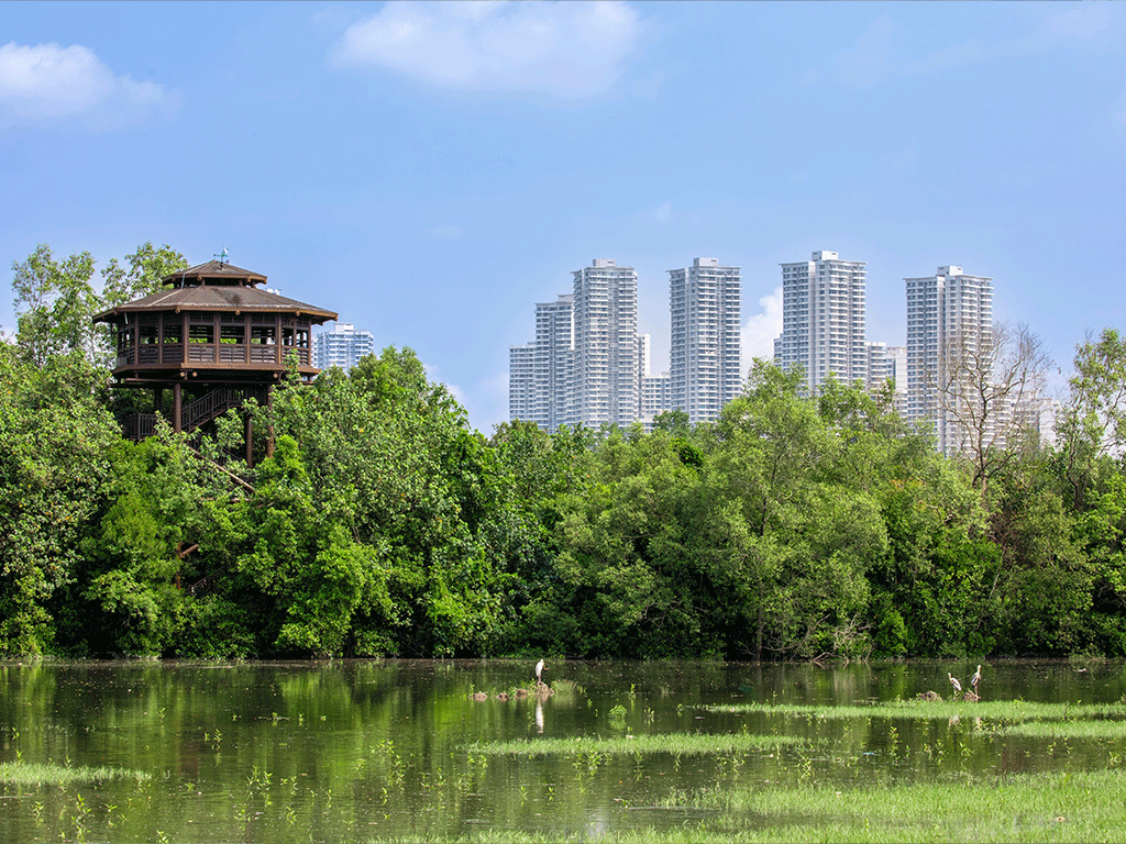 Sungei Buloh Wetland Reserve
